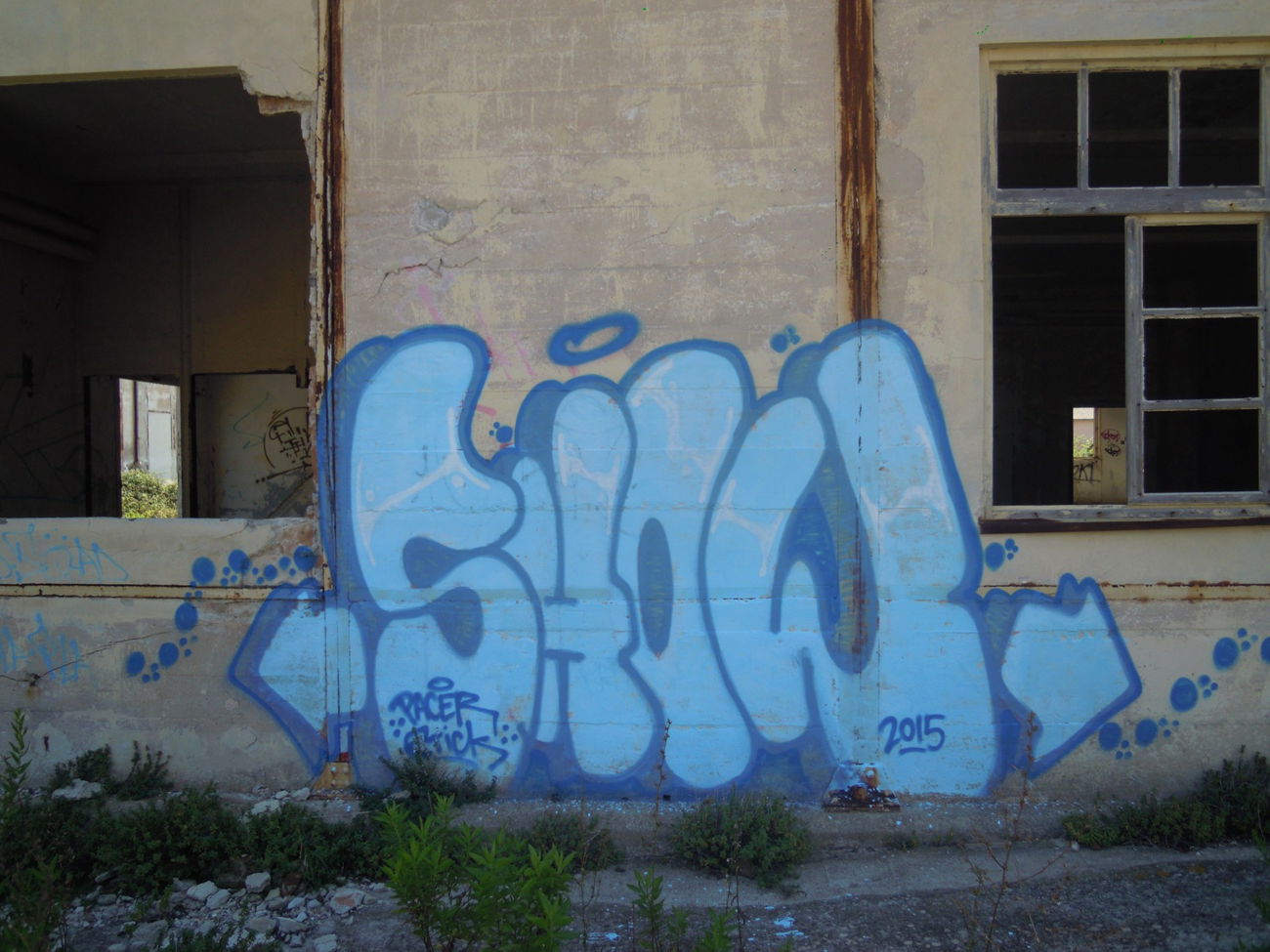 Graffiti Wall - Photo by Showtime