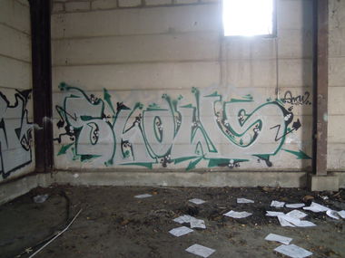 Graffiti Bombing - Photo by Showtime