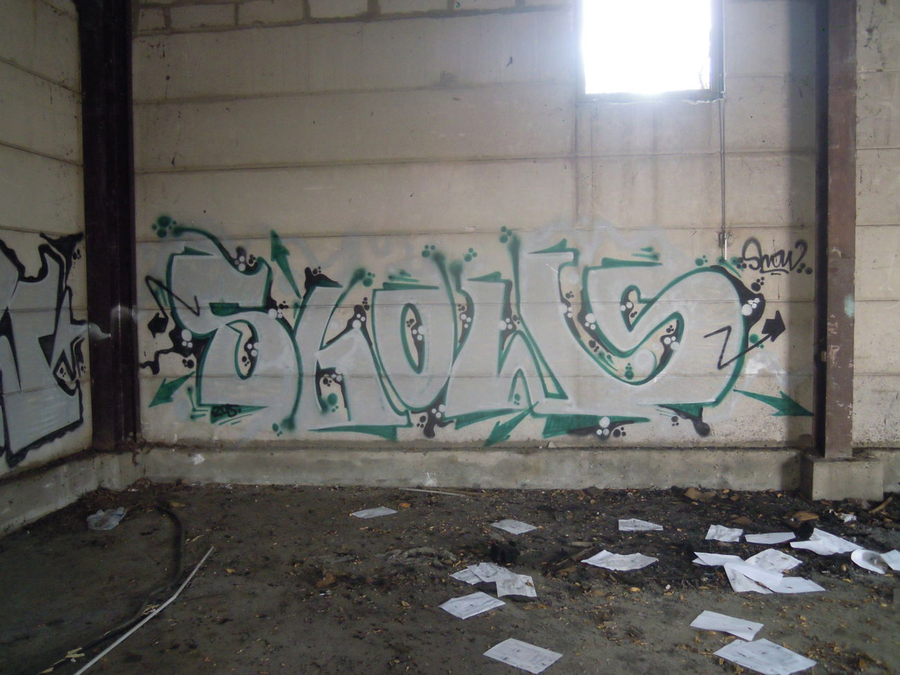 Graffiti Bombing - Photo by Showtime