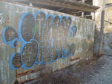 Graffiti Bombing - Photo by Showtime