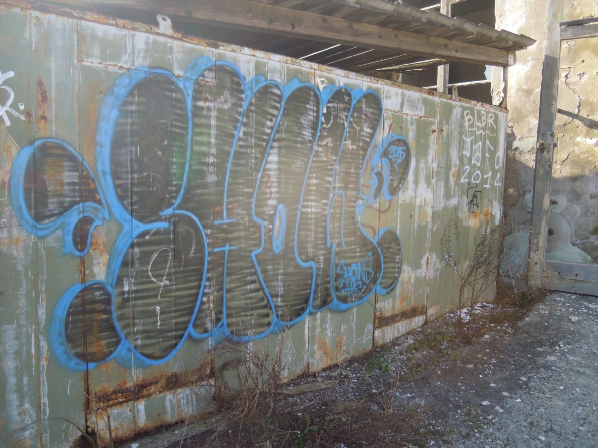 Graffiti Bombing - Photo by Showtime