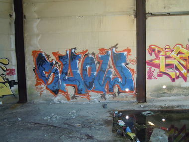 Graffiti Wall - Photo by Showtime