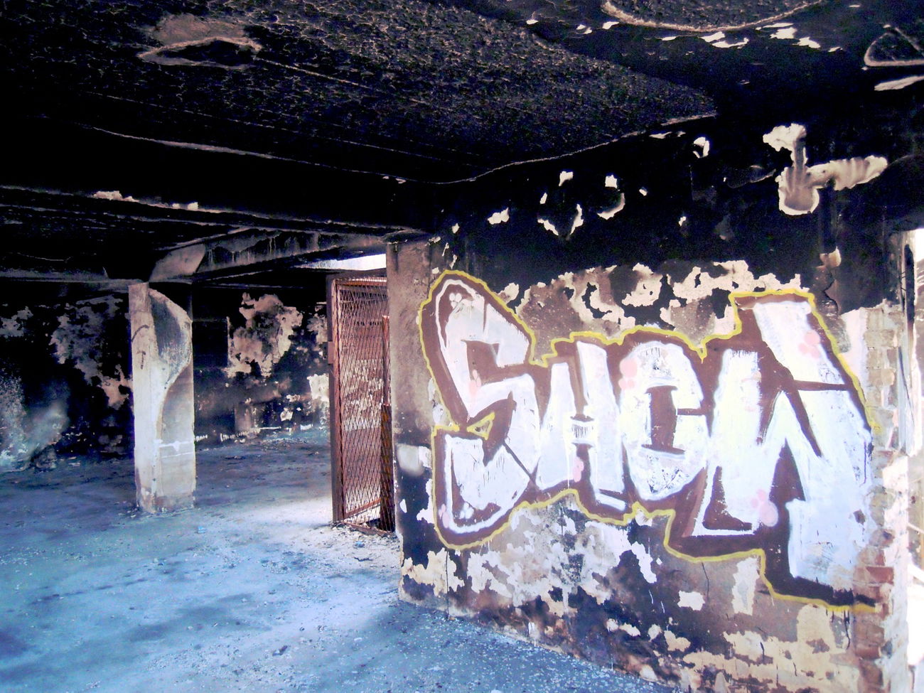 Graffiti Wall - Photo by Showtime