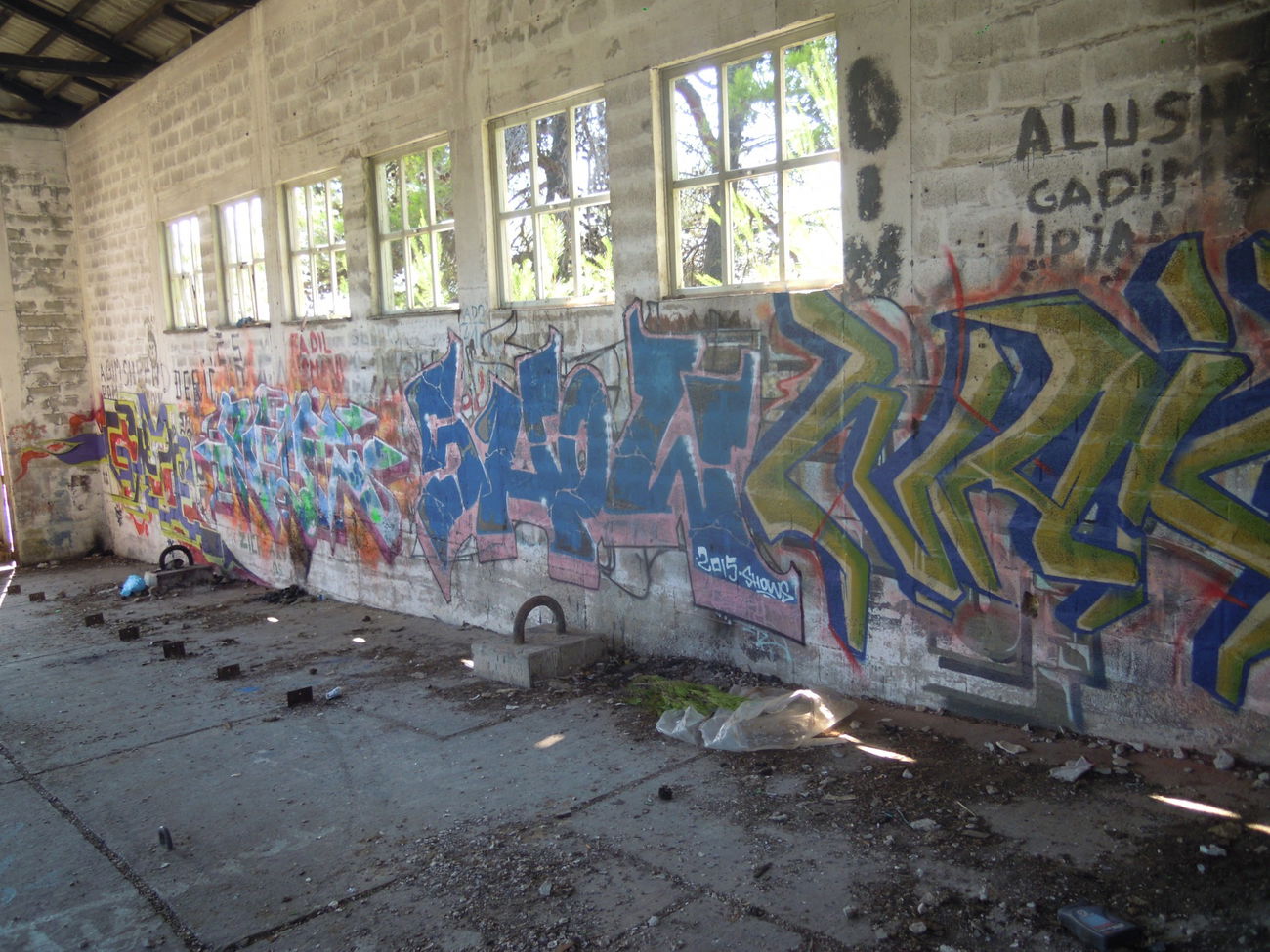 Graffiti Wall - Photo by Showtime