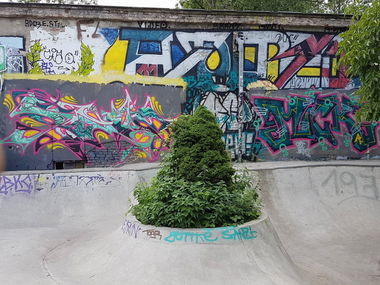 Graffiti Wall - Photo by Shroom - Mellowpark, SROM, SHROOM