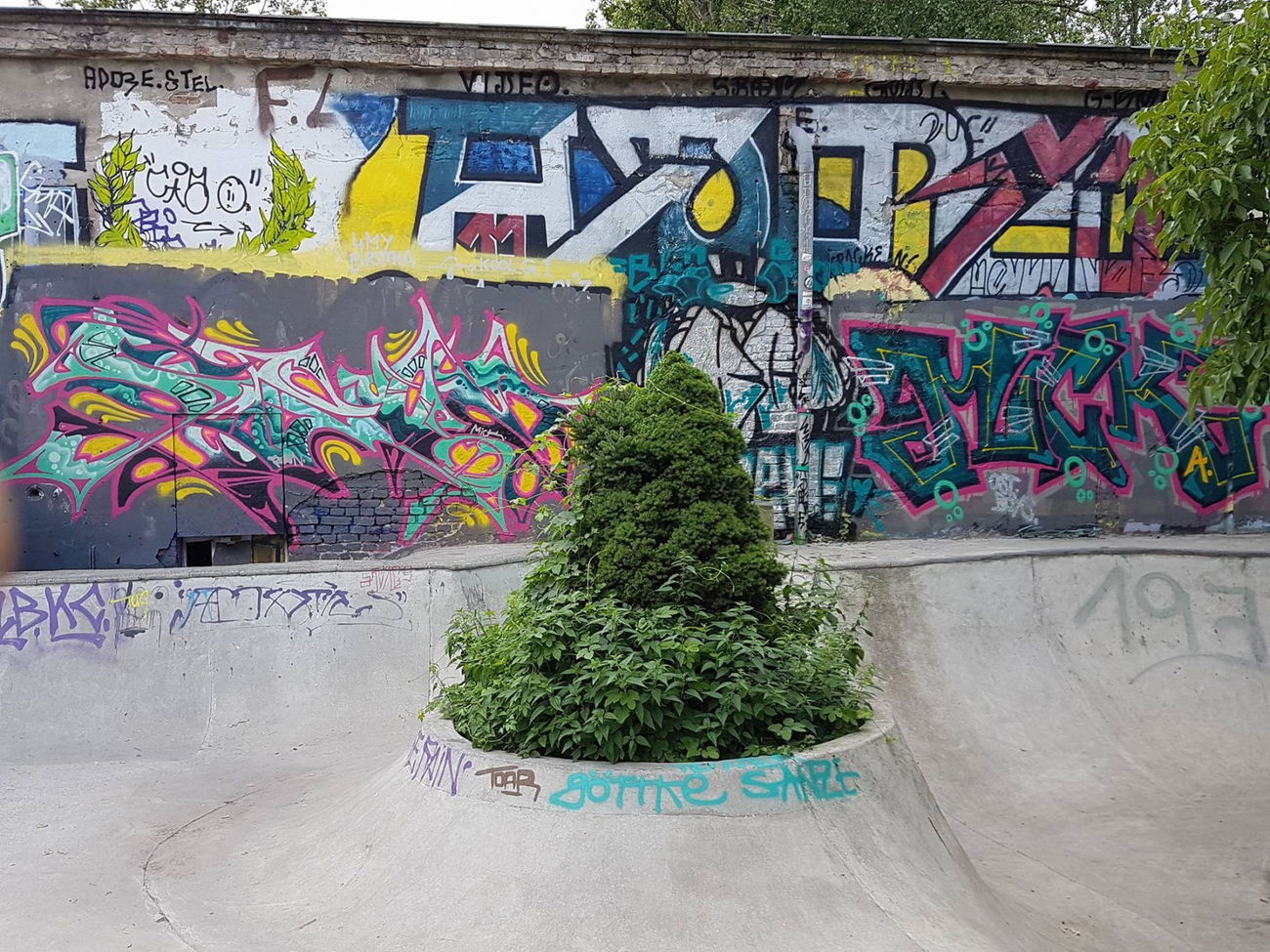 Graffiti Wall - Photo by Shroom - Mellowpark, SROM, SHROOM