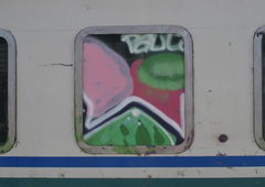 Photo #185071 by Belt