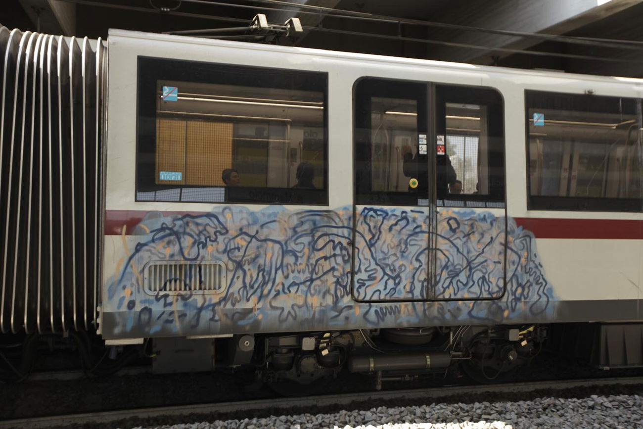 Graffiti Train - Photo by ShrotterSpotter - roma, rome, italy (2016)