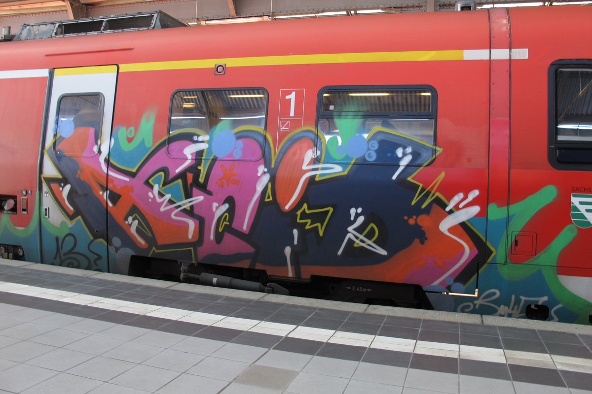 Graffiti Train in Halle - Photo by ShrotterSpotter - Acid, Leipzig, Halle (2013)