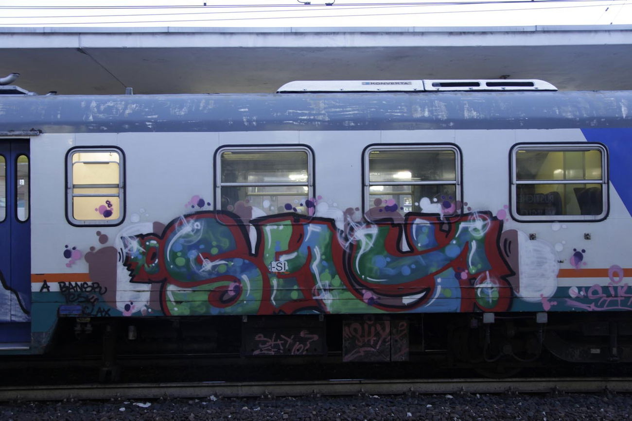 Graffiti Train - Photo by ShrotterSpotter - veneto (2015)
