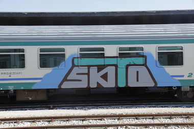 Graffiti Train - Photo by ShrotterSpotter - venice (2015)