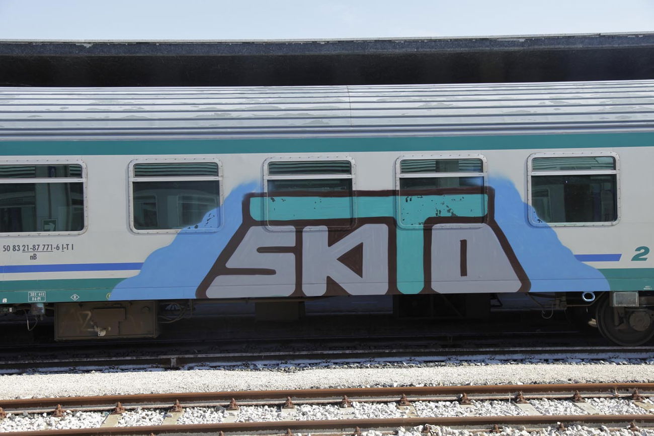 Graffiti Train - Photo by ShrotterSpotter - venice (2015)