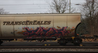 Graffiti Train - Photo by ShrotterSpotter - STR, freighttraingraffiti, transcereales