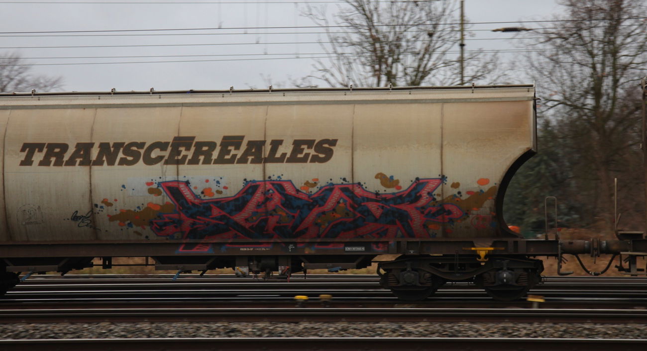 Graffiti Train - Photo by ShrotterSpotter - STR, freighttraingraffiti, transcereales
