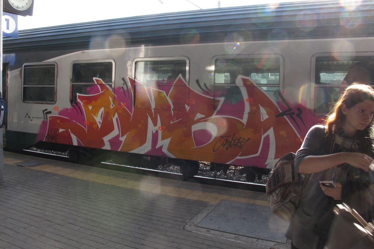 Graffiti Train - Photo by ShrotterSpotter (2016)