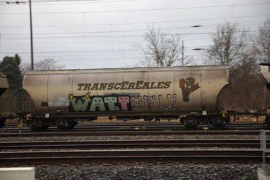 Graffiti Train - Photo by ShrotterSpotter - Watt, Soul, WATTSOUL (2015)