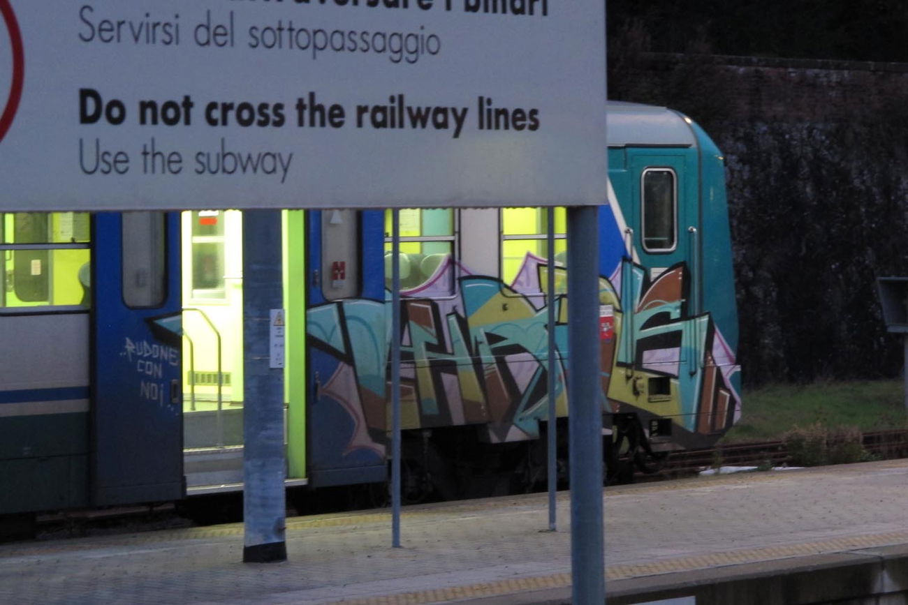 Graffiti Train - Photo by ShrotterSpotter - italy (2015)