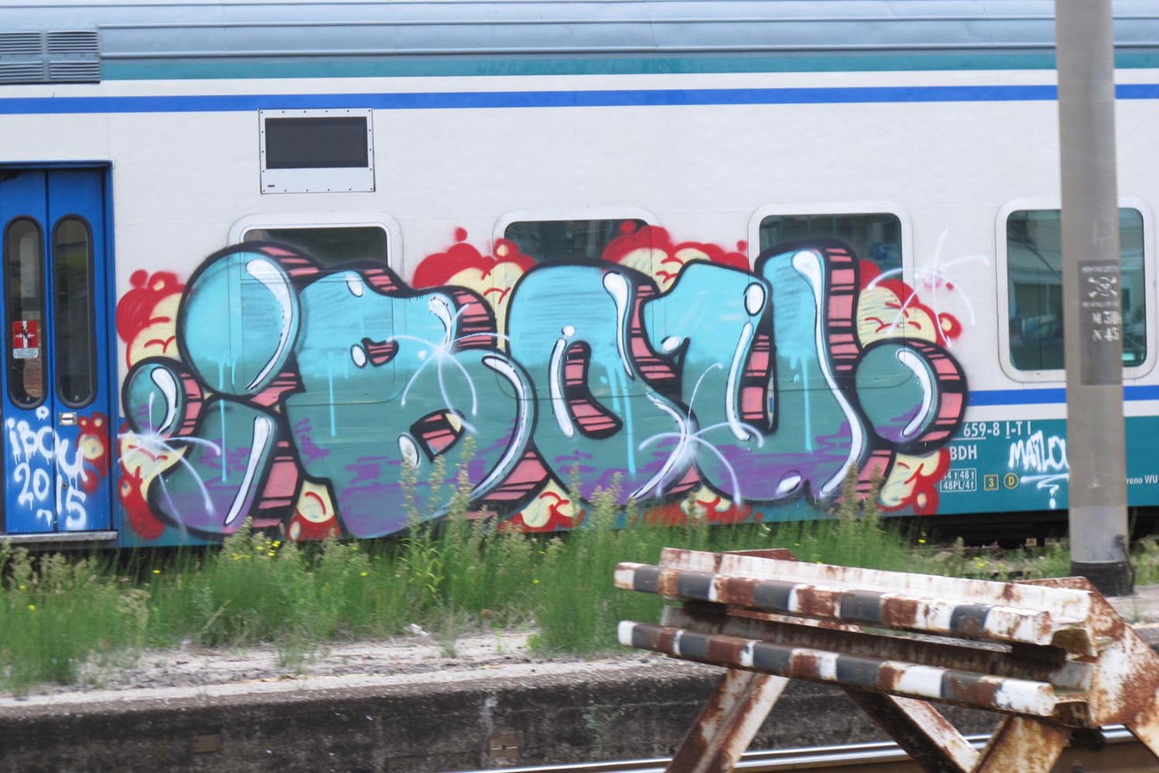 Graffiti Train - Photo by ShrotterSpotter (2015)