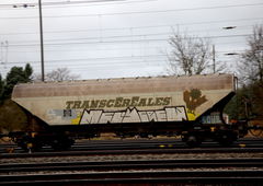 Photo #201411 by C3ZPA