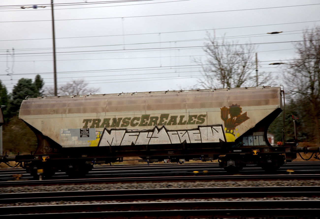 Graffiti Train - Photo by ShrotterSpotter - mfls, mfis, freighttraingraffiti