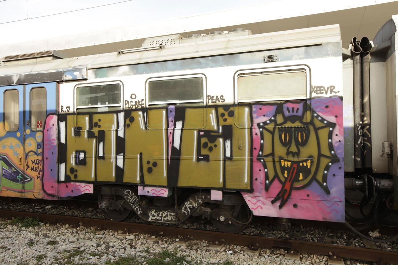 Graffiti Train - Photo by ShrotterSpotter - italy (2016)