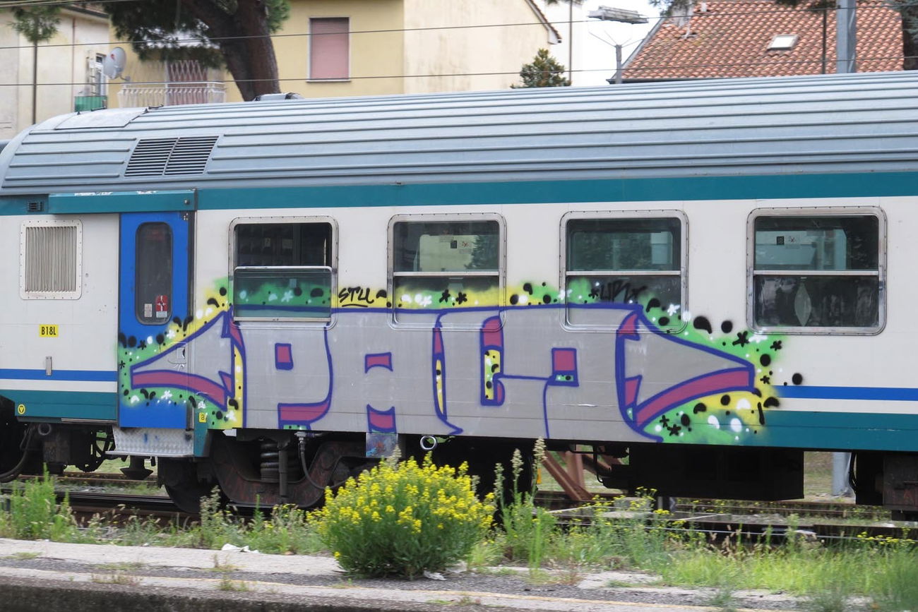 Graffiti Train - Photo by ShrotterSpotter (2015)