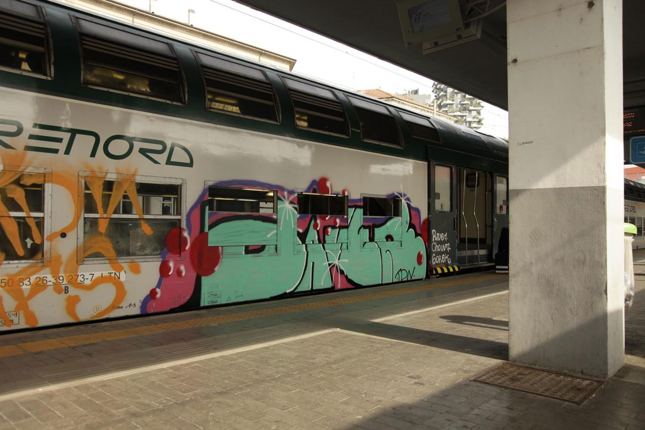 Graffiti Train - Photo by ShrotterSpotter - milan, italy (2015)