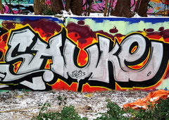 Photo #68334 by PL_PartyZan