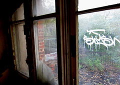 Photo #20310 by Belt