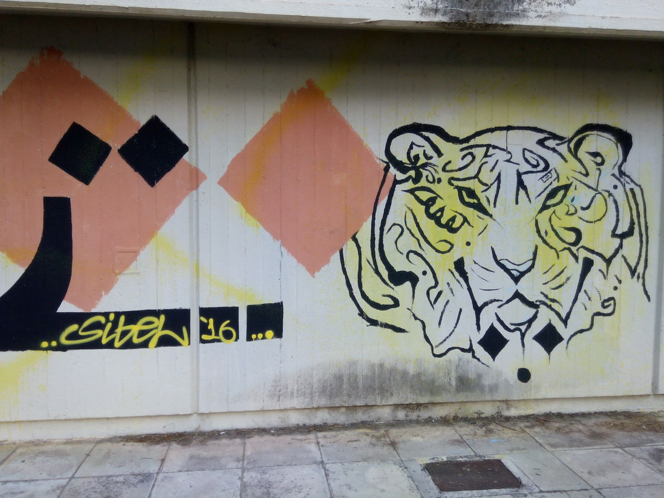 Graffiti Wall - Photo by Sibel - sibel, tiger, sketch (2016)