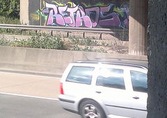 Photo #23854 by Frame