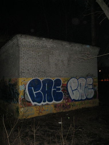 Graffiti Bombing in St.Petersburg - Photo by Sign_of_life (2013)