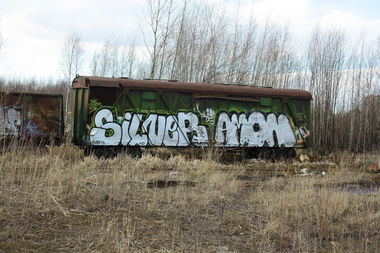 Graffiti Train - Photo by Silverone1