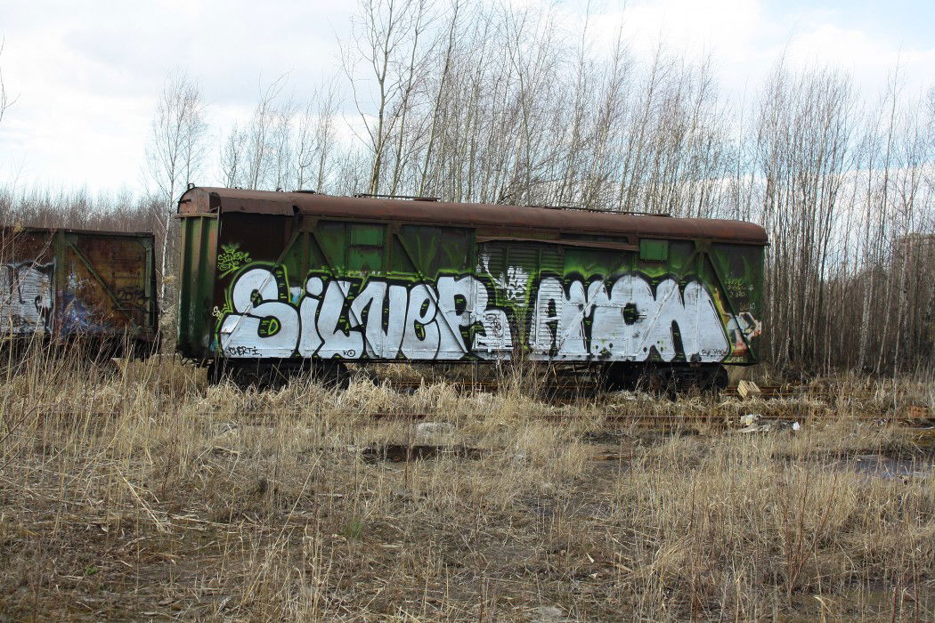 Graffiti Train - Photo by Silverone1
