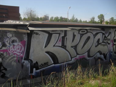 Graffiti Bombing - Photo by Silverone1