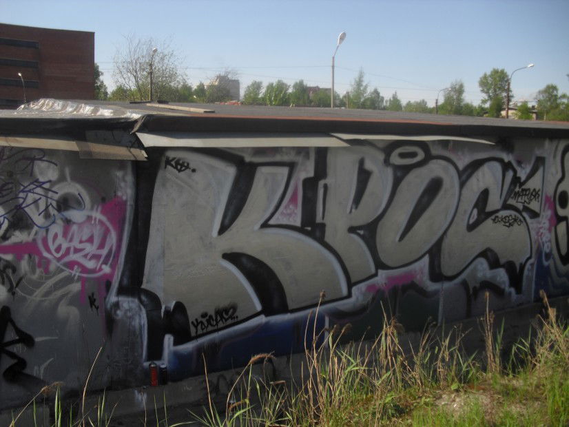 Graffiti Bombing - Photo by Silverone1