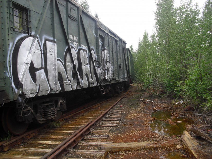 Graffiti Train - Photo by Silverone1