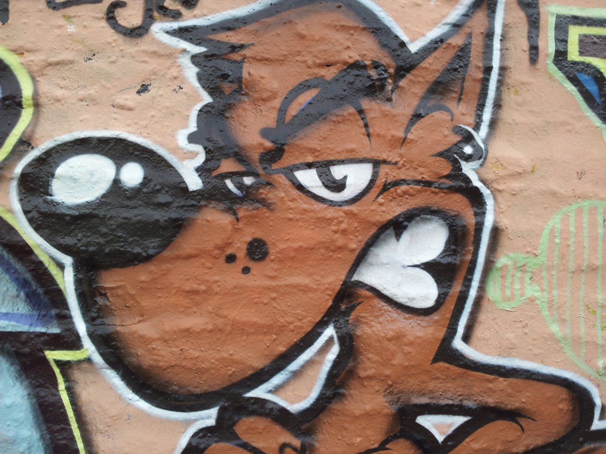 Graffiti Wall - Photo by Silversurfer - Omez, ros, lbm (2012)