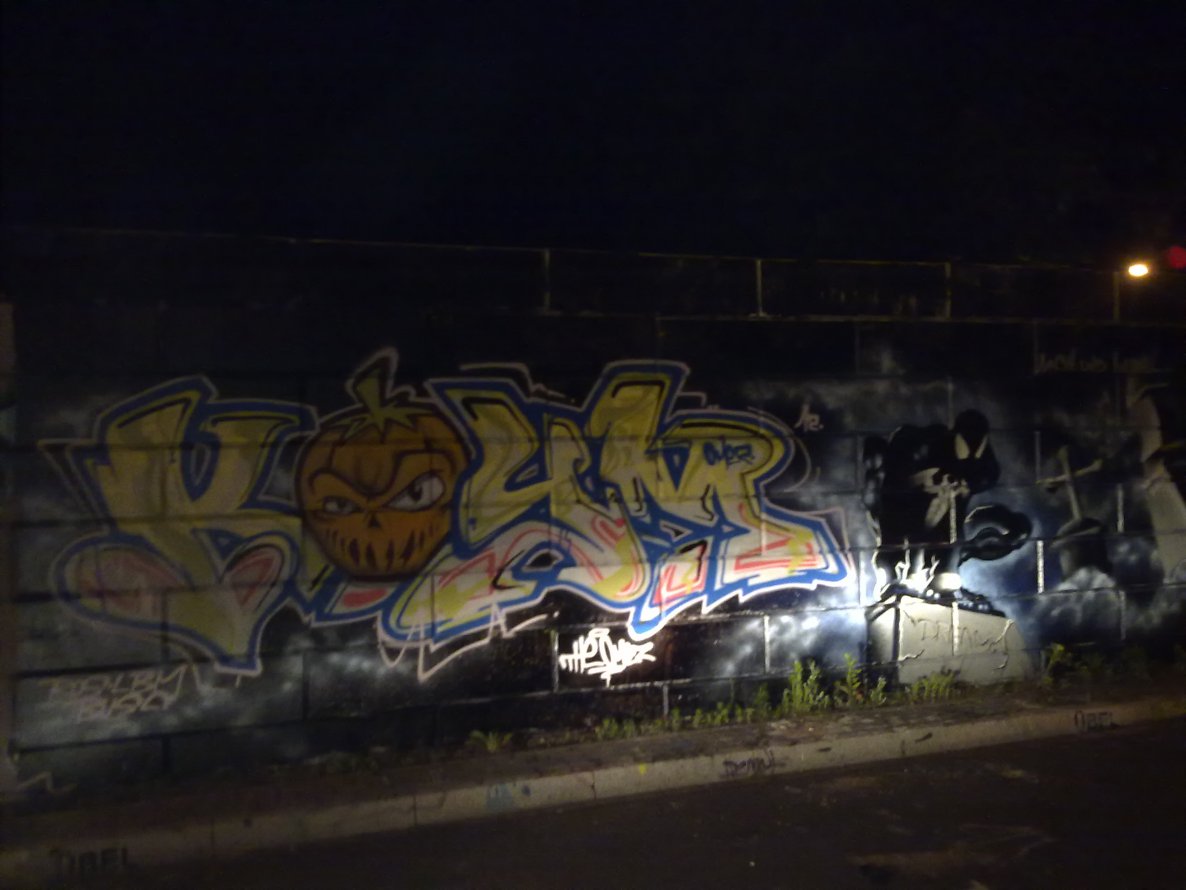 Graffiti Wall - Photo by Silversurfer - Omez, ros, lbm (2012)