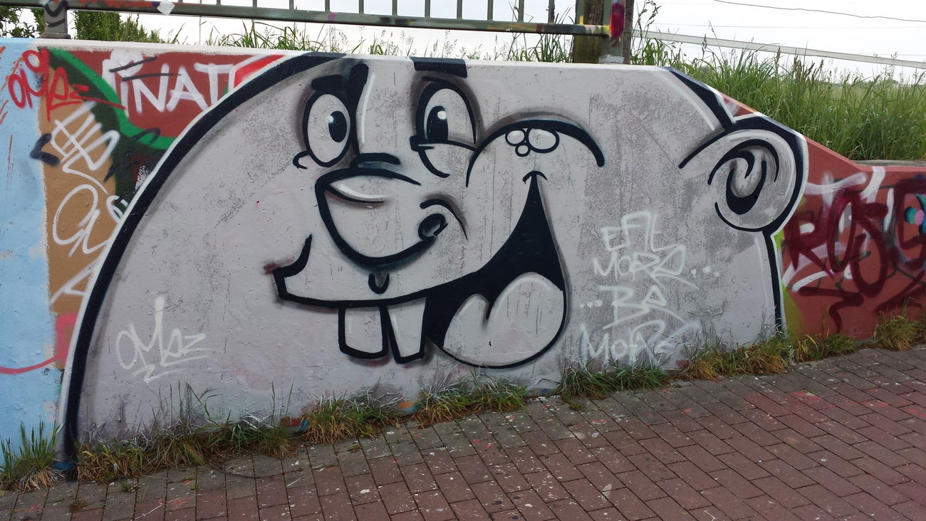 Graffiti Wall in Voerde - Photo by Silversurfer - omez, silversurfer, uad (2015)