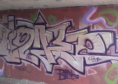 Photo #128832 by MENO