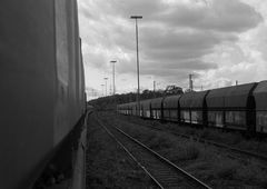 Photo #58679 by gartenzwerg