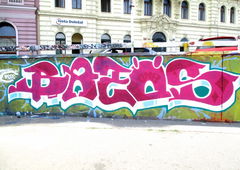 Photo #24546 by Belt