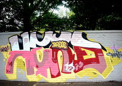 Photo #33549 by Belt