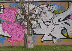 Photo #123923 by Anim