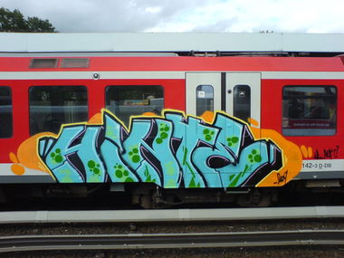 Graffiti Train in Hamburg - Photo by Sirg - hinte, rdk, wl (2009)