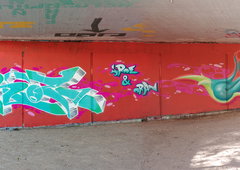 Photo #250522 by iobe1