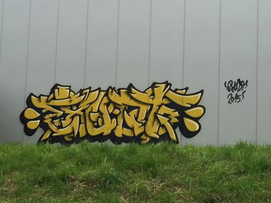 Graffiti Bombing - Photo by SixOhFive - Exudt