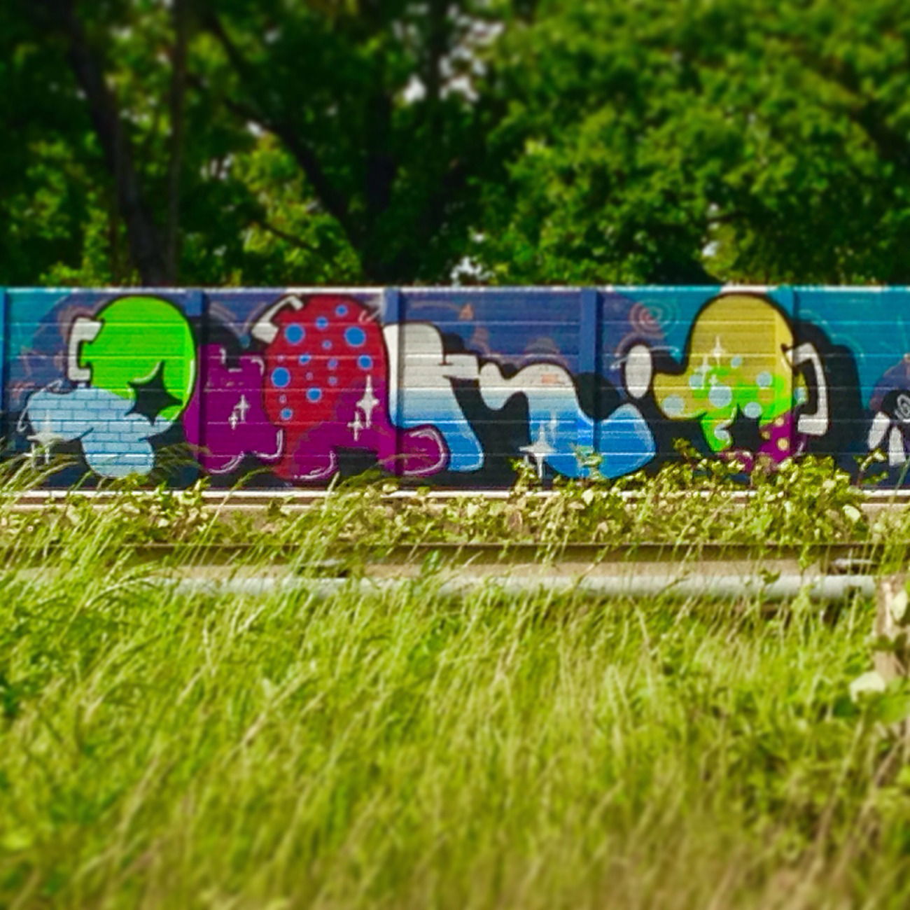 Graffiti Wall - Photo by SixOhFive - PunkD