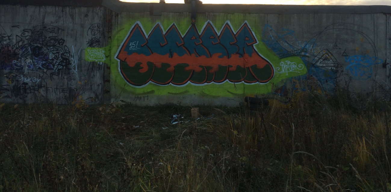 Graffiti Bombing in Балканский Округ - Photo by Skaper (2015)